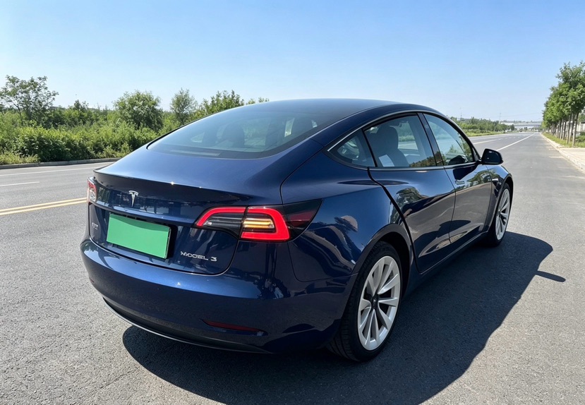 Tesla Model 3 2023 car image #2