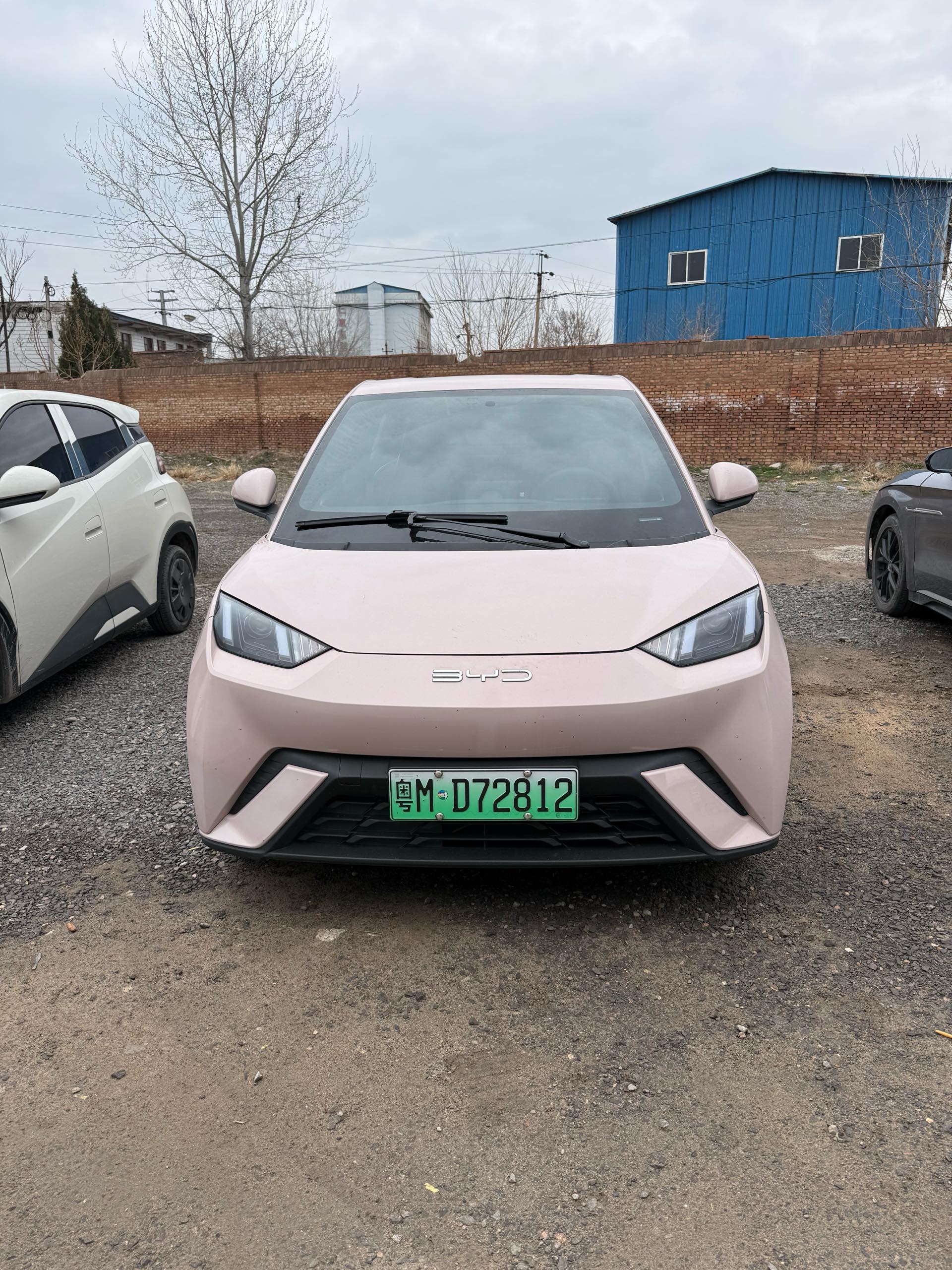 BYD Seagull 2023 car image #2