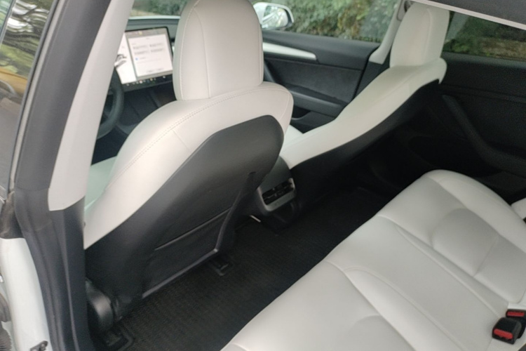 Tesla Model 3 2021 #19 Tesla Model 3 2021 immagine di auto #19