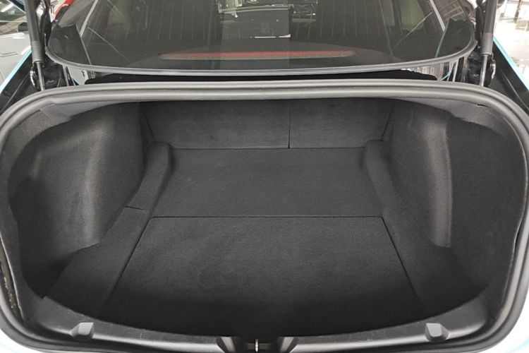 Tesla Model 3 2020 car image #18