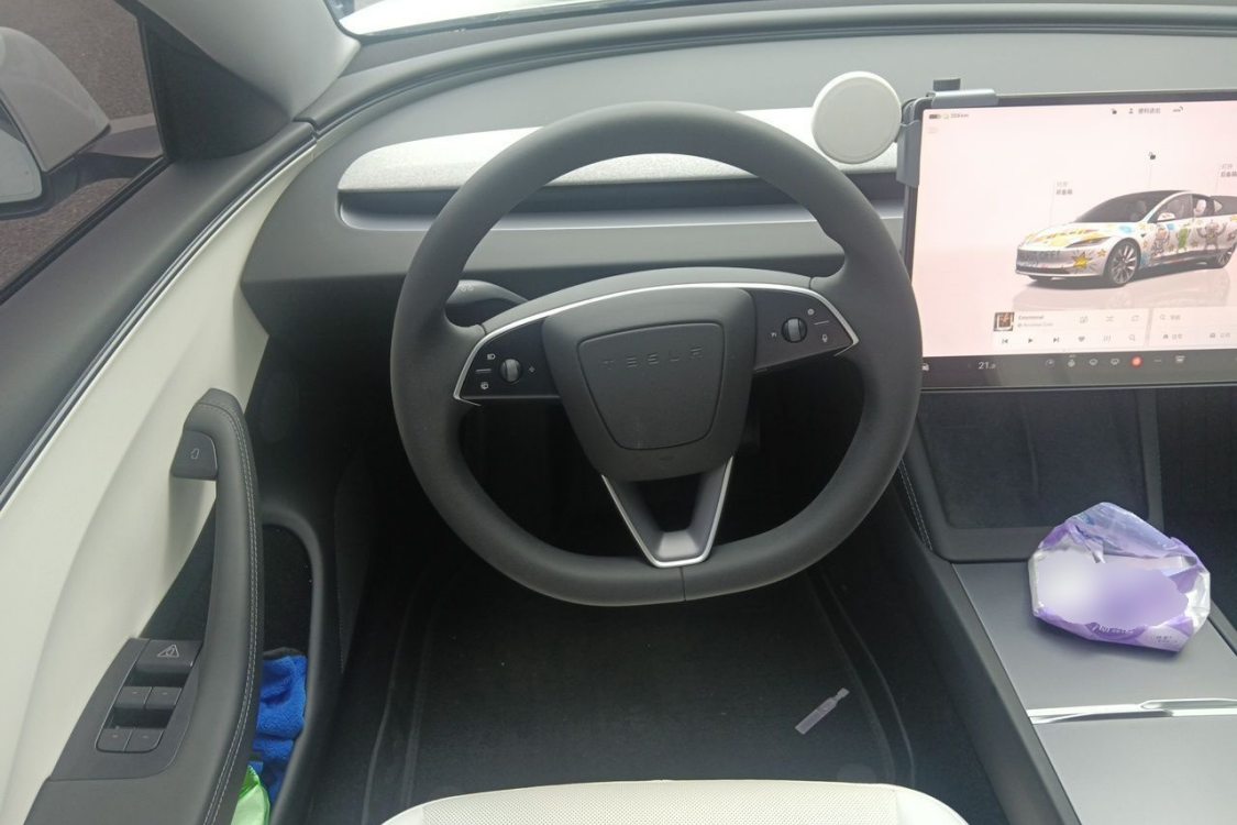 Tesla Model 3 2025 #22 Tesla Model 3 2025 car image #22
