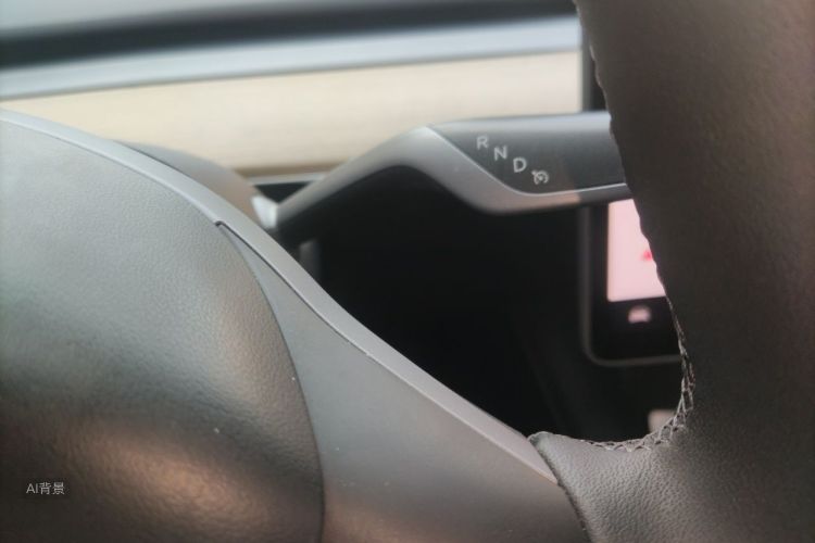 Tesla Model Y 2022 #16 Tesla Model Y 2022 car image #16