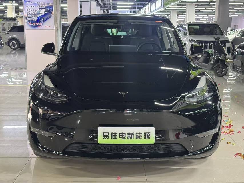 Tesla Model Y 2023 #2 Tesla Model Y 2023 car image #2