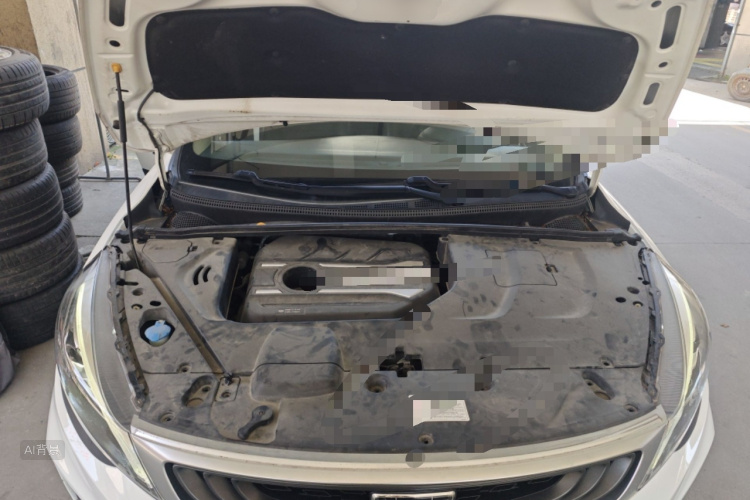 GEELY Emgrand GS 2019 #22 GEELY Emgrand GS 2019 car image #22