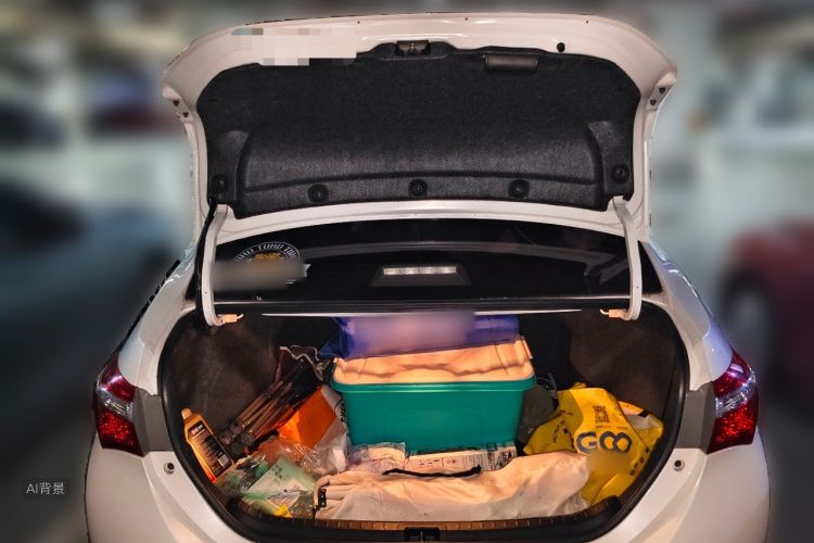 Toyota Corolla 2016 car image #21