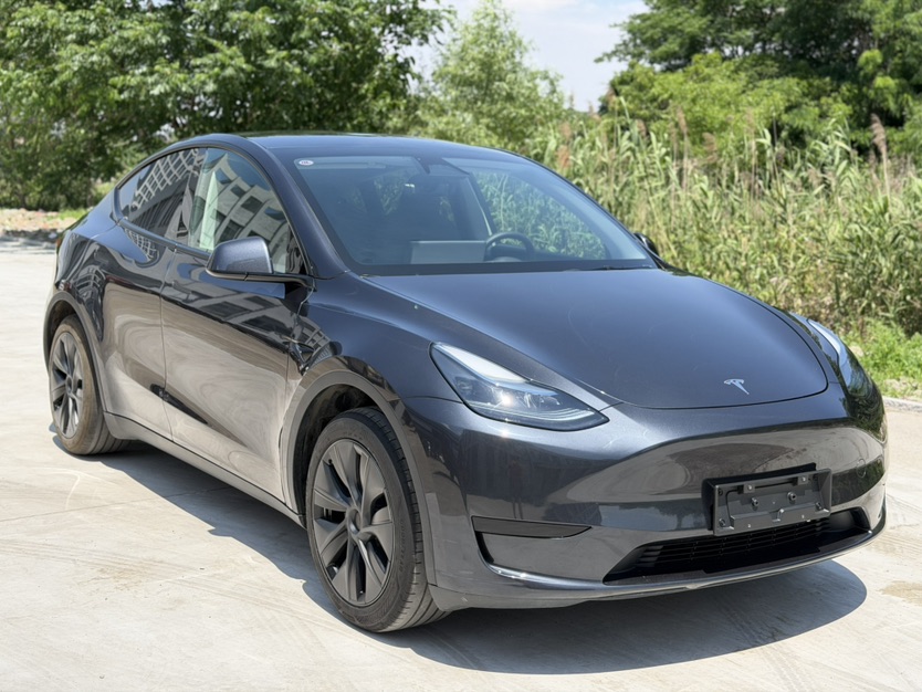 Tesla Model Y 2024 car image #3