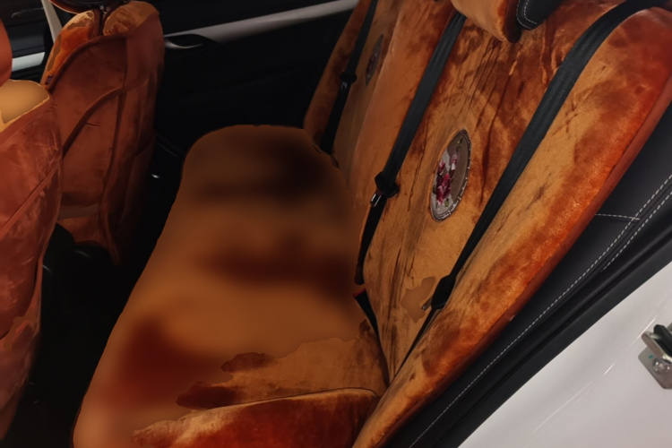 GEELY Emgrand 2018 #17 GEELY Emgrand 2018 car image #17