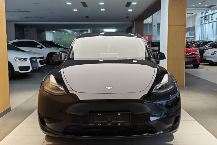 Tesla Model Y 2023 #10 Tesla Model Y 2023 car image #10