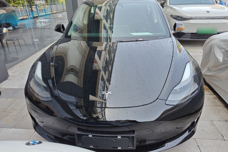 Tesla Model 3 2021 #3 Tesla Model 3 2021 car image #3
