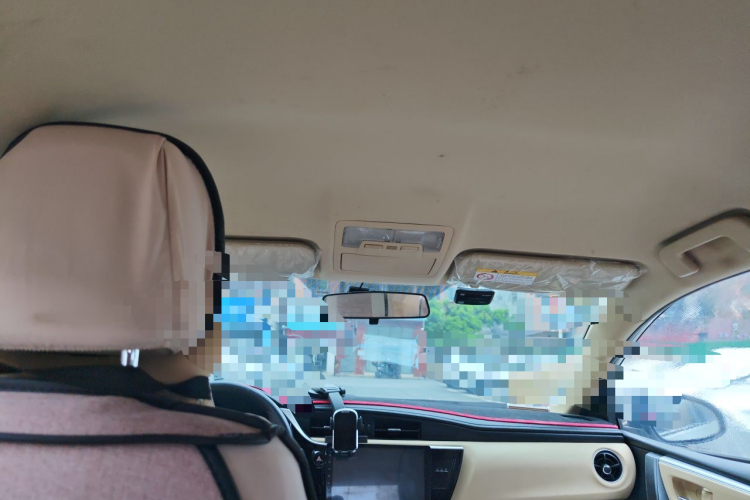 Toyota Corolla 2018 car image #16
