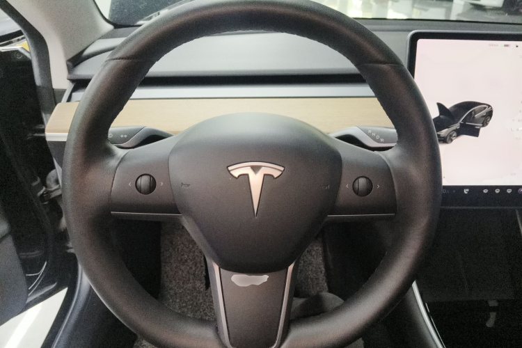 Tesla Model 3 2020 #11 Tesla Model 3 2020 car image #11