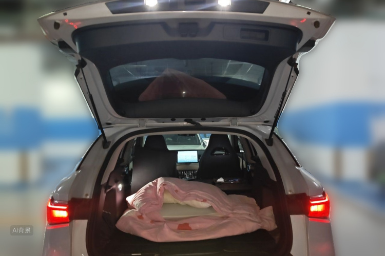 BYD Yuan Plus 2022 #21 BYD Yuan Plus 2022 car image #21