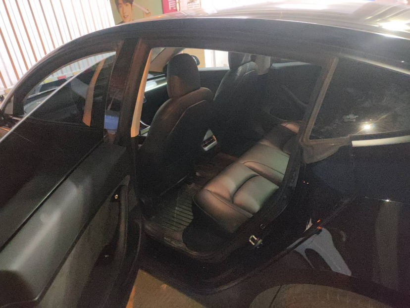 Tesla Model 3 2020 #6 Tesla Model 3 2020 car image #6