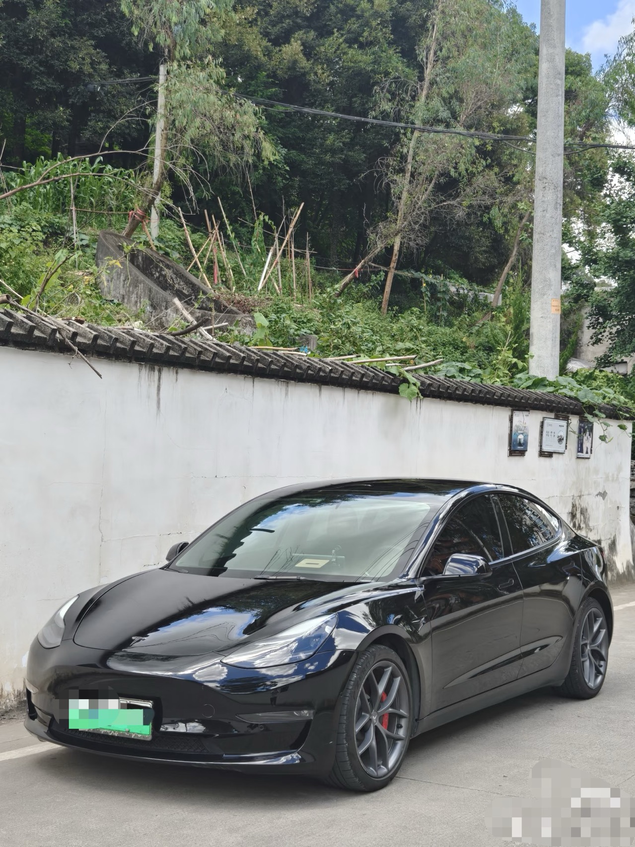 Tesla Model 3 2022 car image 