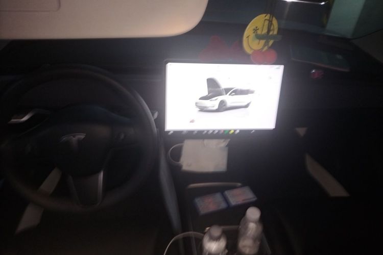 Tesla Model 3 2022 #23 Tesla Model 3 2022 car image #23