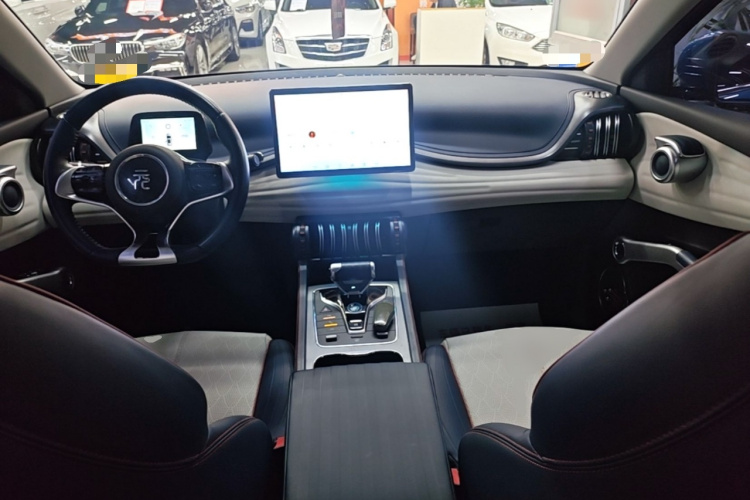 BYD Yuan Plus 2022 car image #10