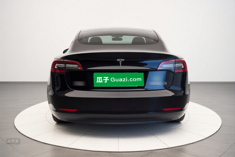 Tesla Model 3 2021 #6 Tesla Model 3 2021 car image #6