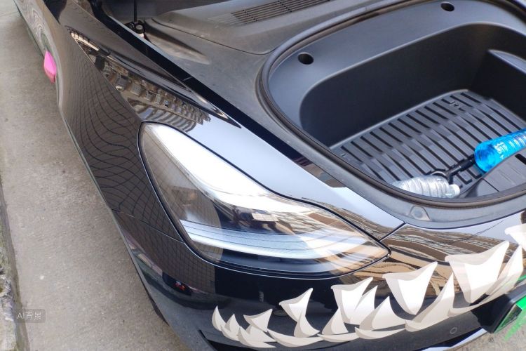 Tesla Model 3 2023 #8 Tesla Model 3 2023 car image #8