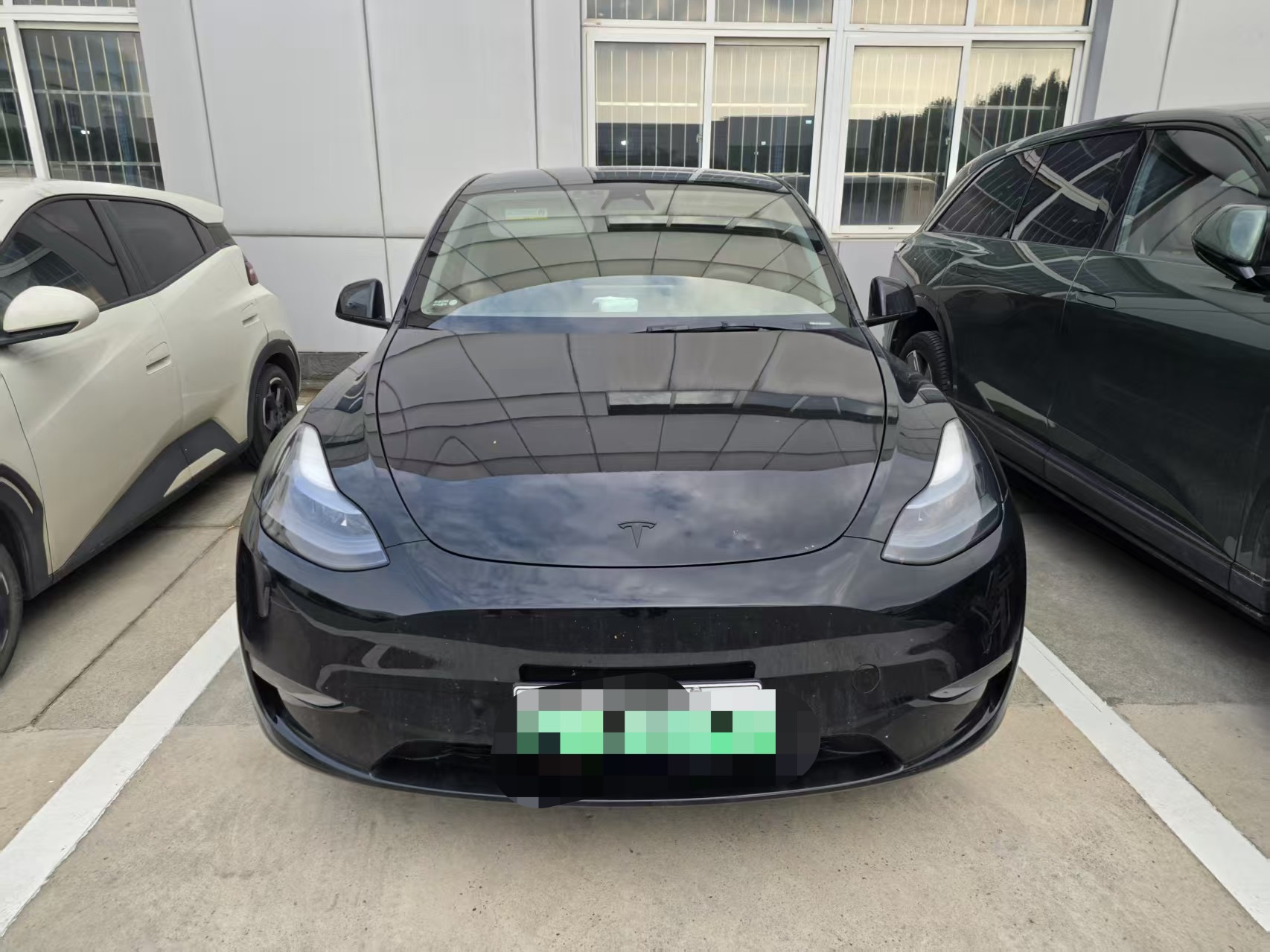 Tesla Model Y 2023 Tesla Model Y 2023 car image