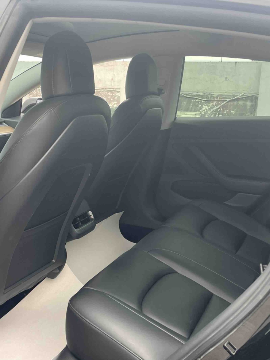 Tesla Model 3 2020 car image #8