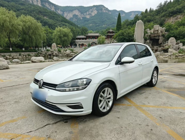 Volkswagen Golf 2019 Volkswagen Golf 2019 car image