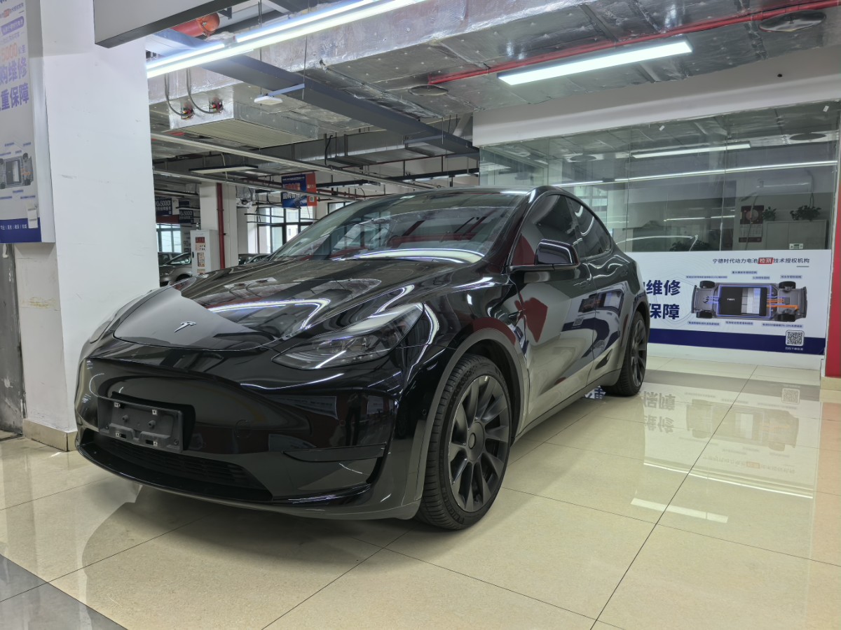 Tesla Model Y 2022 Tesla Model Y 2022 car image