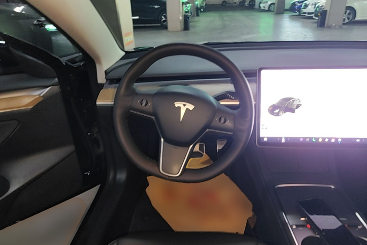 Tesla Model 3 2021 car image #11