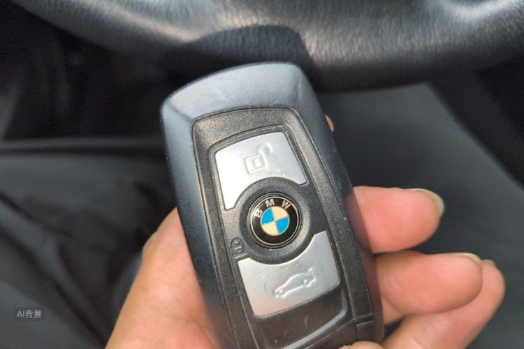 BMW 3 Series 2016 car image #10