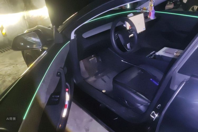 Tesla Model 3 2023 car image #18