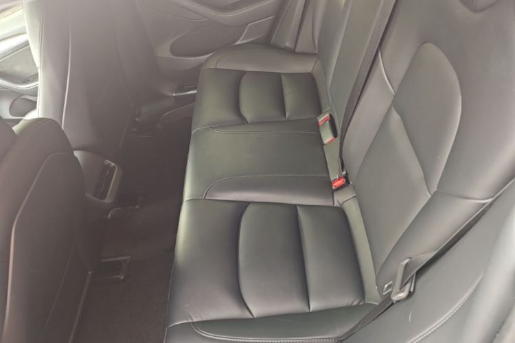 Tesla Model 3 2022 #17 Tesla Model 3 2022 car image #17