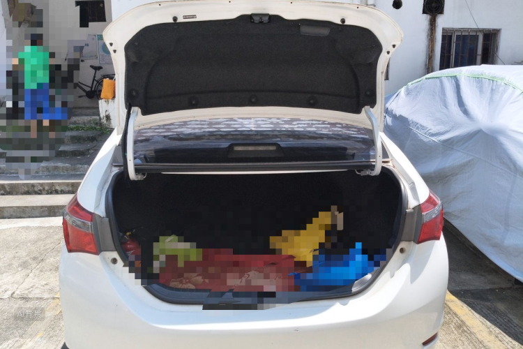 Toyota Corolla 2019 #21 Toyota Corolla 2019 car image #21