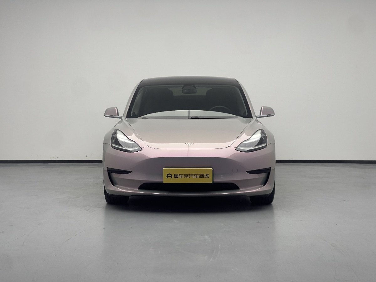 Tesla Model 3 2020 immagine di auto #2
