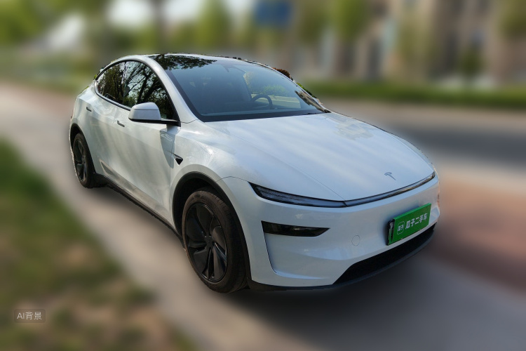 Tesla Model Y 2025 car image #4