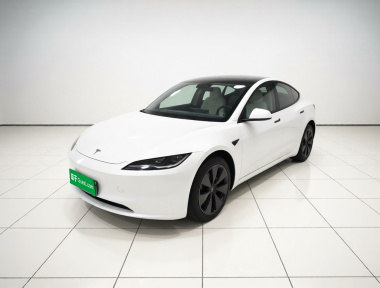 Tesla Model 3 2024 car image 