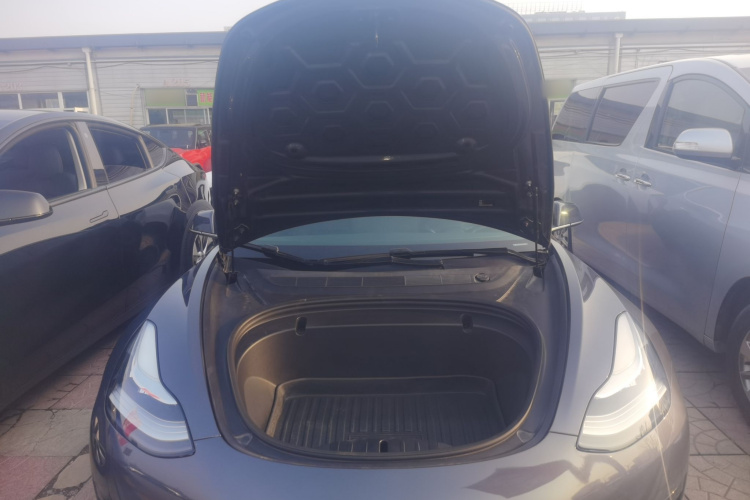 Tesla Model 3 2020 #20 Tesla Model 3 2020 car image #20