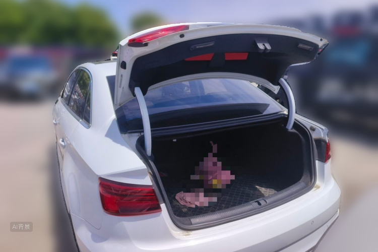 Audi A3 2018 #21 Audi A3 2018 car image #21