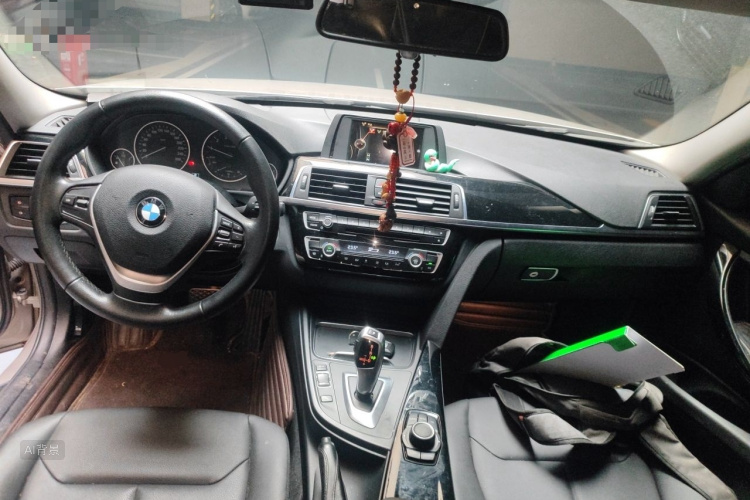 BMW 3 Series 2016 car image #11