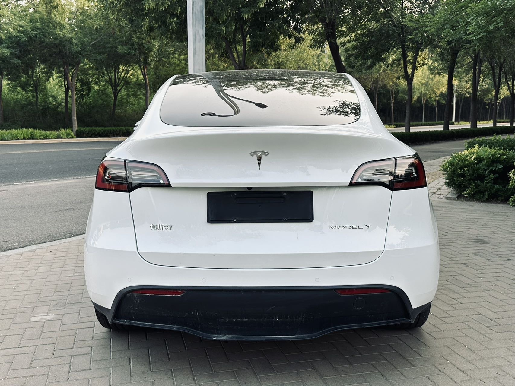 Tesla Model Y 2023 car image #5