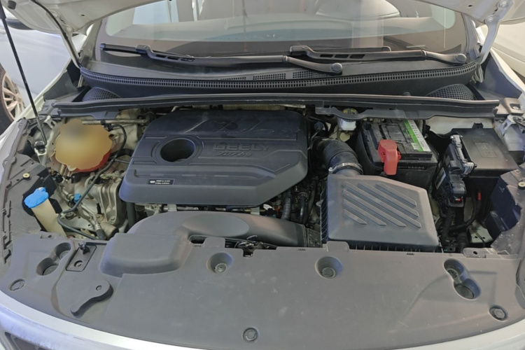 GEELY Emgrand GS 2020 #20 GEELY Emgrand GS 2020 car image #20