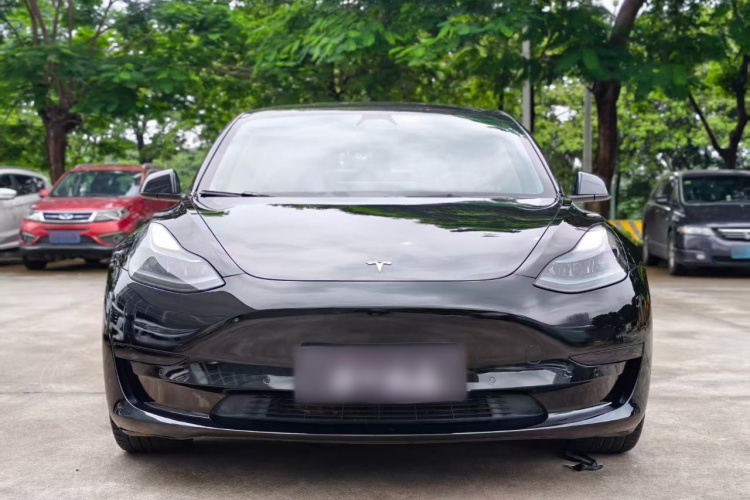 Tesla Model 3 2021 immagine di auto #3