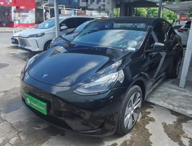 Tesla Model Y 2023 Tesla Model Y 2023 car image