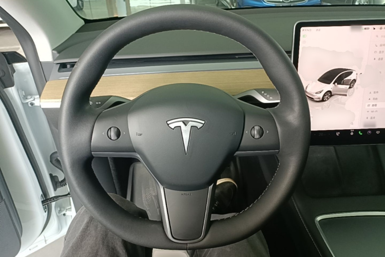 Tesla Model Y 2023 car image #11