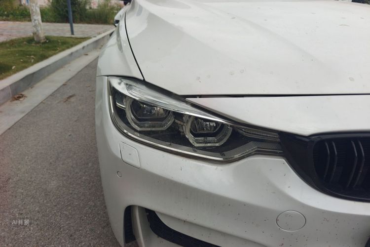 BMW 3 Series 2016 car image #8