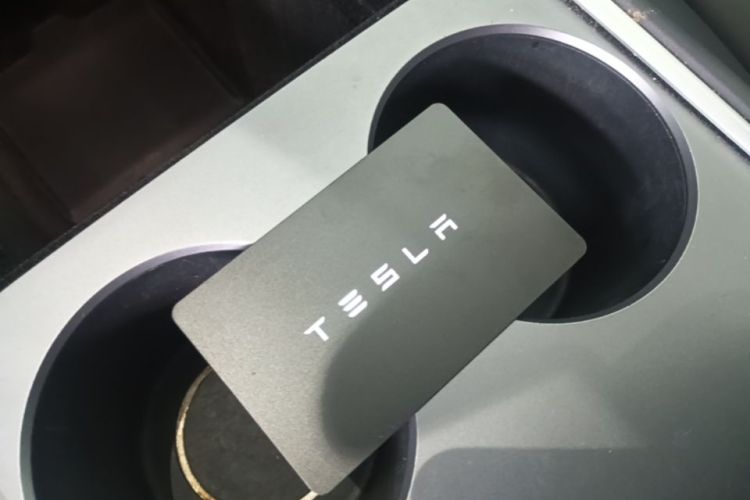 Tesla Model Y 2021 car image #14