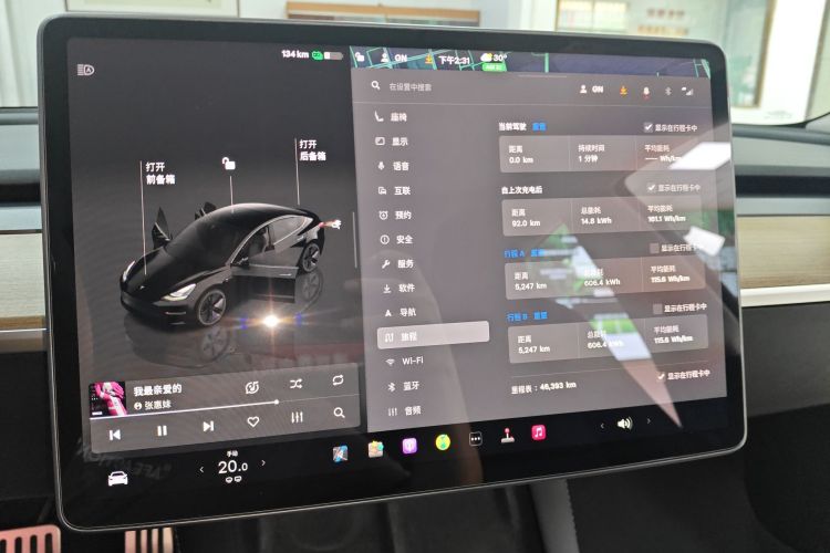 Tesla Model 3 2022 car image #16