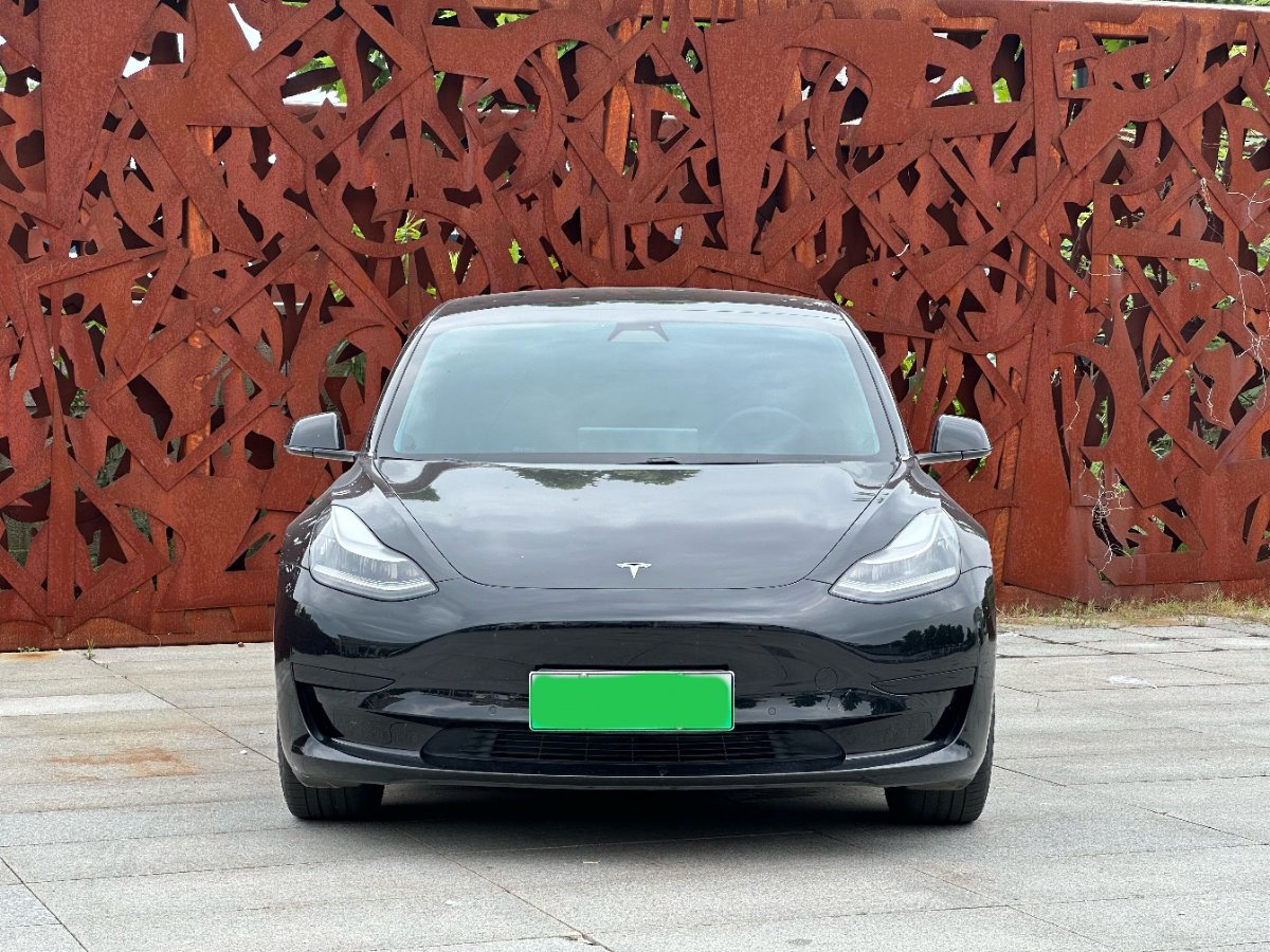 Tesla Model 3 2020 car image #2