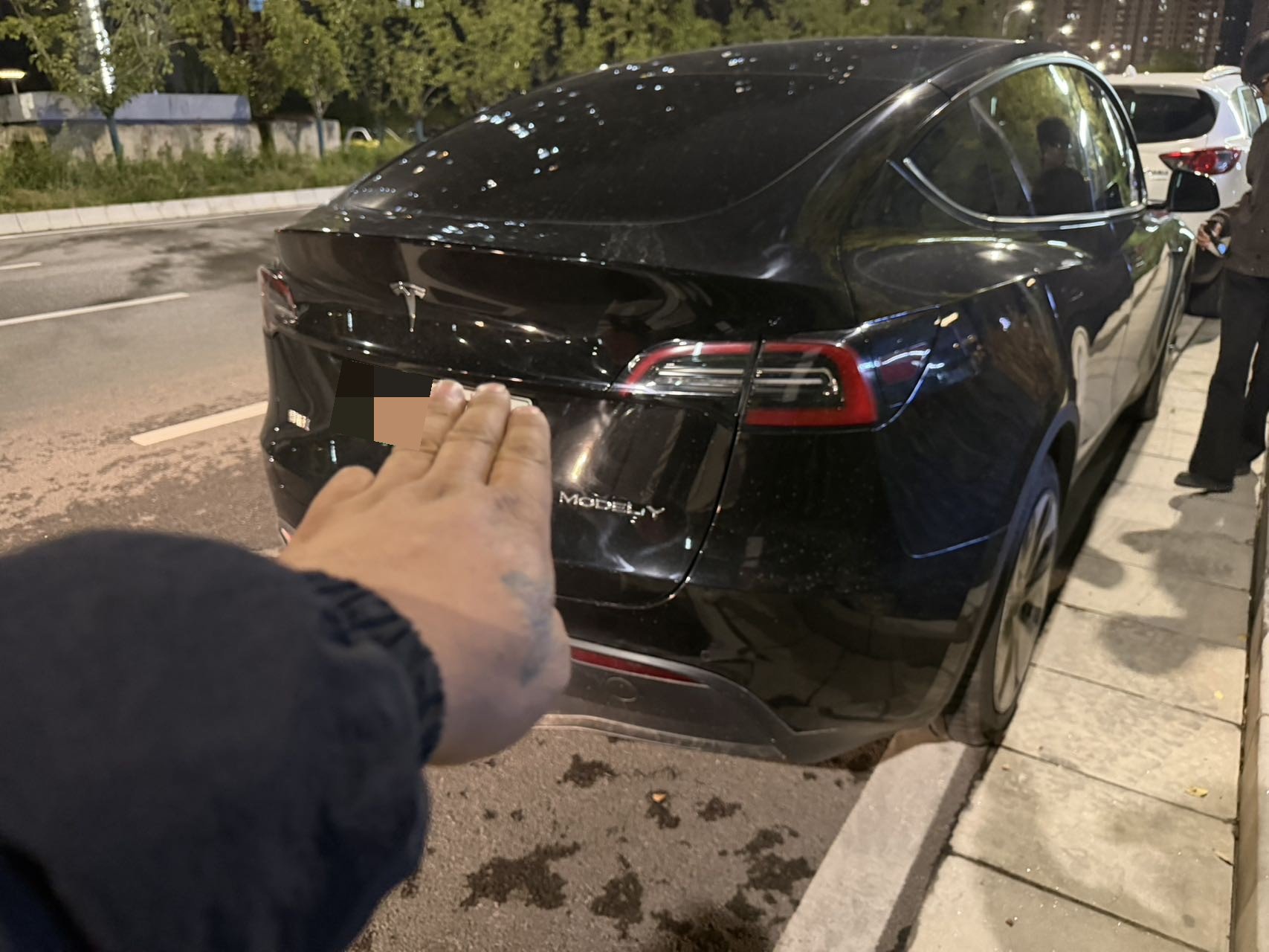 Tesla Model Y 2023 #6 Tesla Model Y 2023 صورة سيارة #6