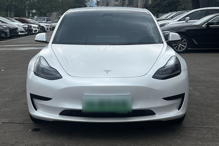 Tesla Model 3 2021 #3 Tesla Model 3 2021 car image #3