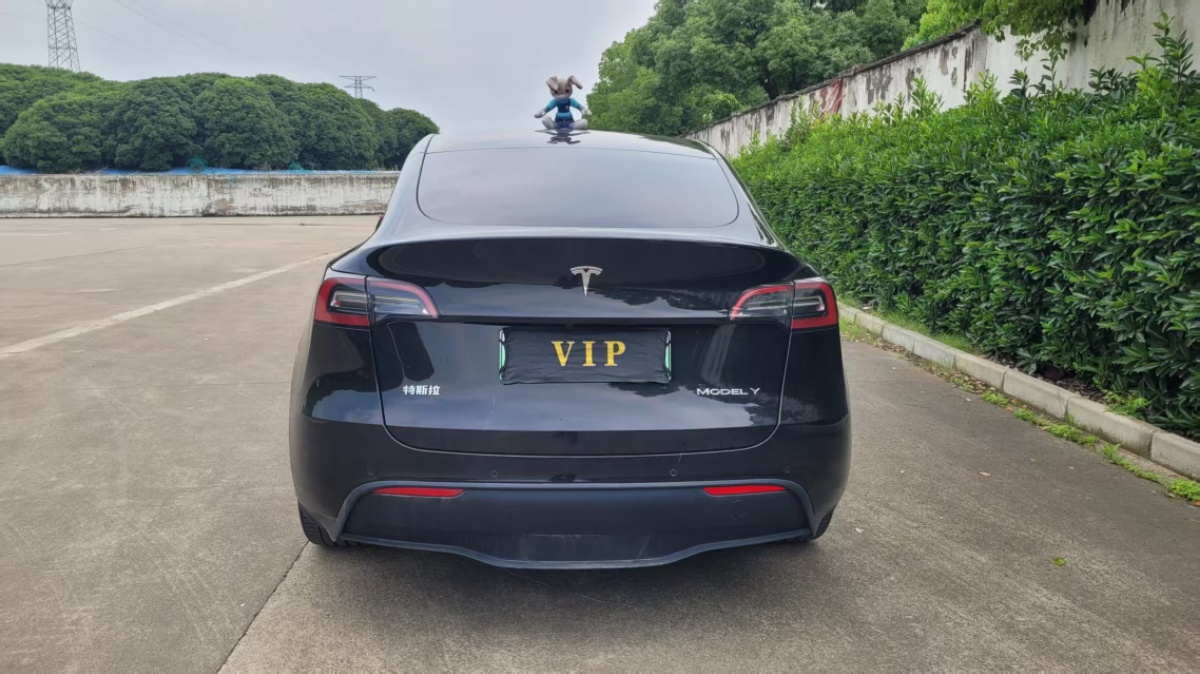 Tesla Model Y 2022 #3 Tesla Model Y 2022 car image #3