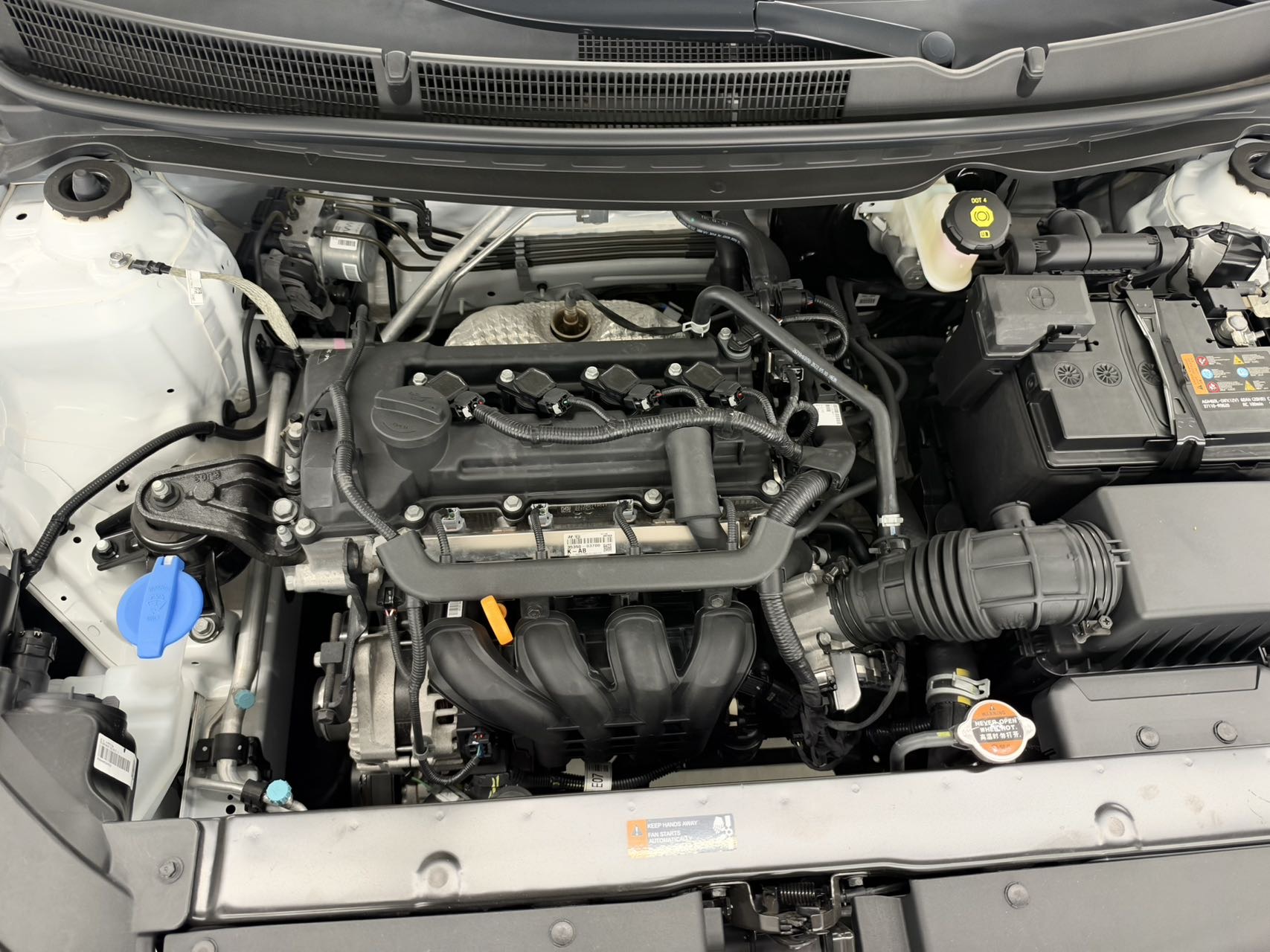 Kia KX1 2024 #15 Kia KX1 2024 immagine di auto #15